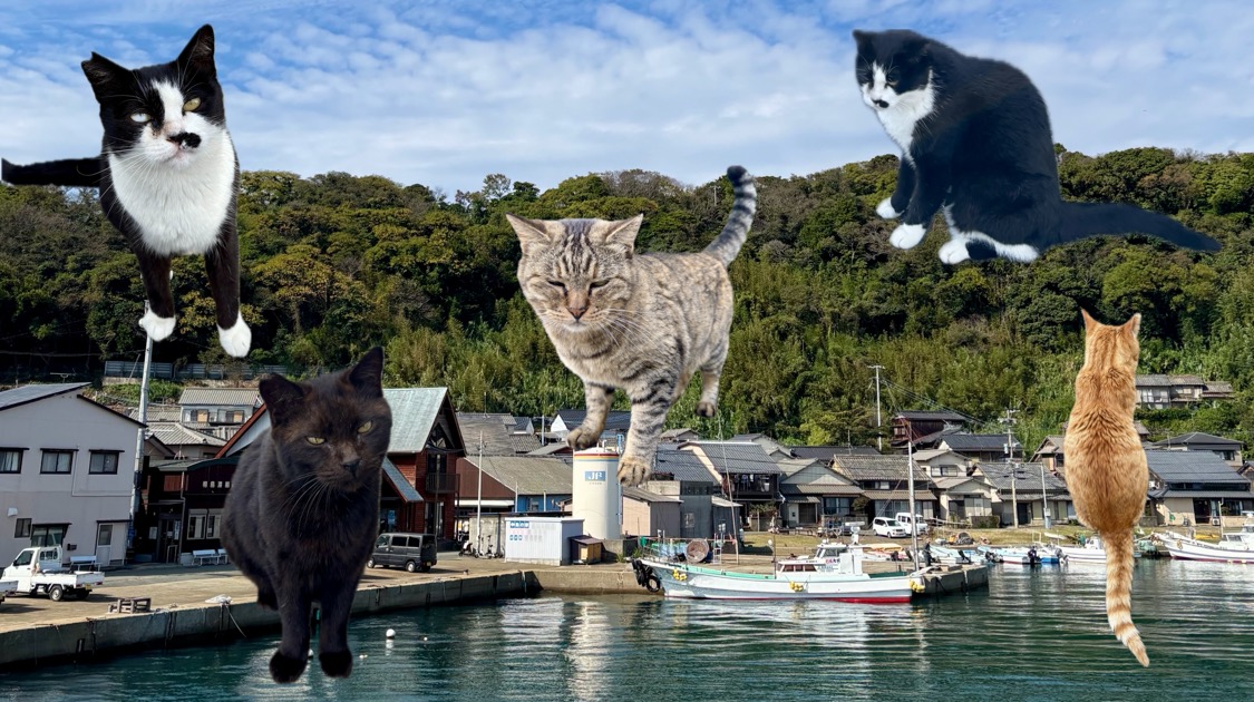 My Visit to One of Japan’s Hidden Cat Islands